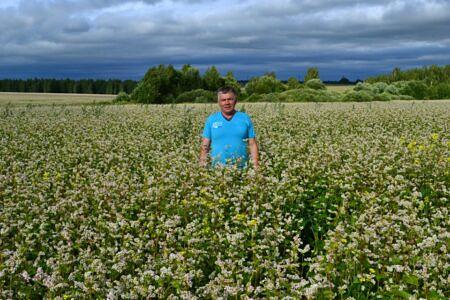 Гречиха «Темп РС-1» опт фото 1