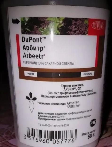 Арбитр, СП фото 1