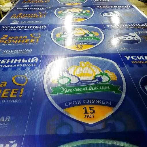 Поликарбонат для теплиц Урожайкин, усиленный, Опт фото 1