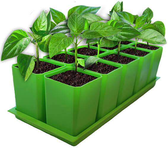 Набор горшков для рассады (10 шт) с поддоном, опт фото 5