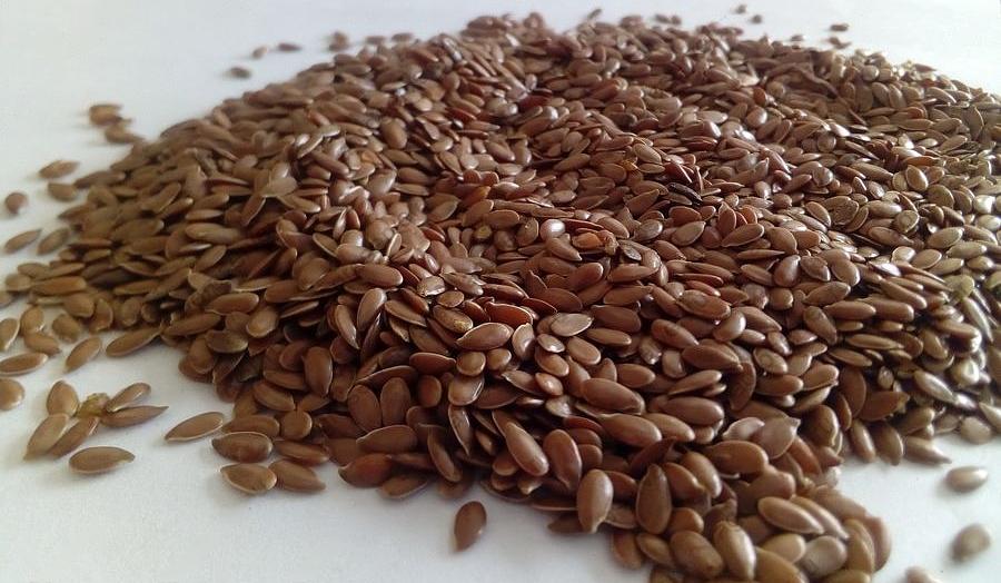 Семена льна коричневого урожай 2022 г опт фото 1