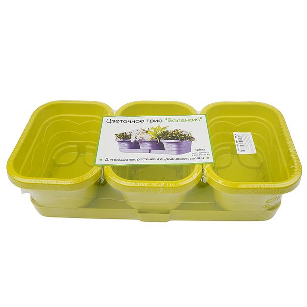 Цветочное трио "Валенсия", 3*1,1л, фисташка фото 1