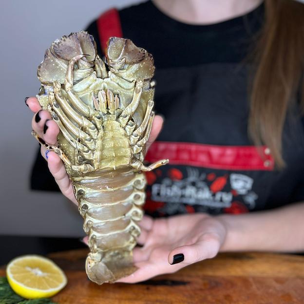 Песчаный лобстер замороженный фото 3