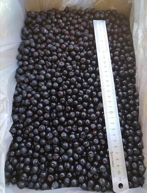 Черноплодная рябина замороженная опт фото 1