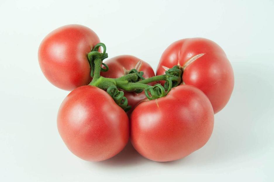 Семена томатов F1 «Шибик» опт фото 1