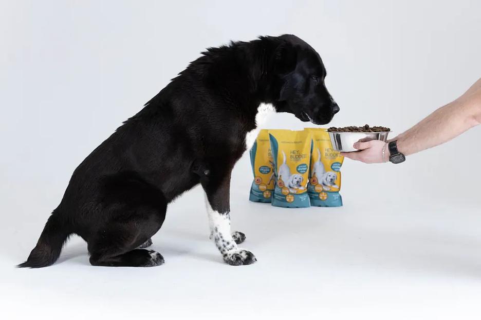 Сухой полнорационный корм для взрослых собак крупных пород, с говядиной и рисом, 2 кг фото 8