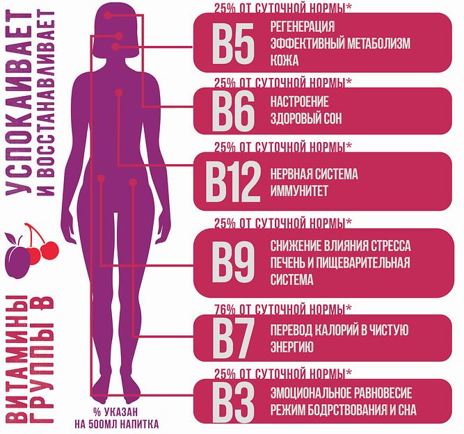 Витаминный напиток «Vit Up вишня-слива» 0,5 л фото 2