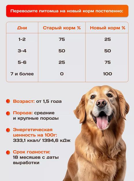 Корм для собак KamLeader «Holistic Говядина с овощами» 5 кг фото 3