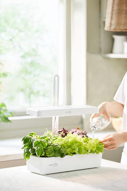 Кашпо Cactus Garden CS-LEDPOT-10 2.0л белый фото 8