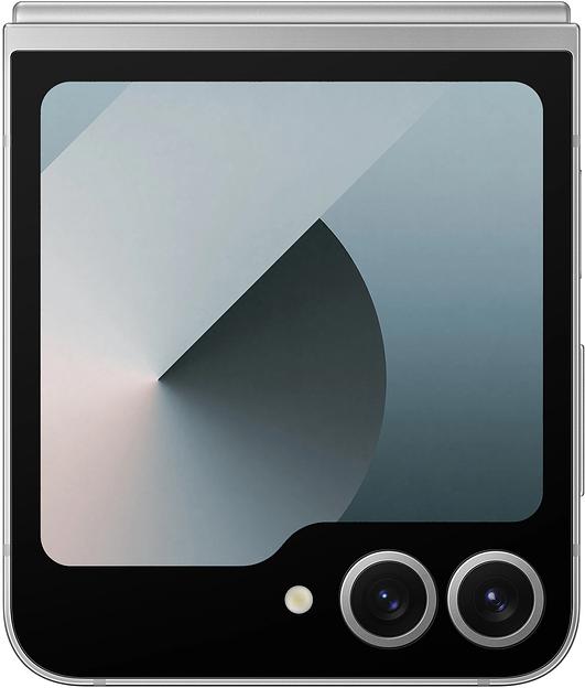 Смартфон Samsung SM-F741B Galaxy Z Flip 6 256Gb 12Gb серый раскладной 3G 4G 1Sim 6.7" 1080x2640 Android 14 50Mpix 802.11 a/b/g/n/ac/ax NFC GPS GSM900/1800 GSM1900 TouchSc Protect фото 6