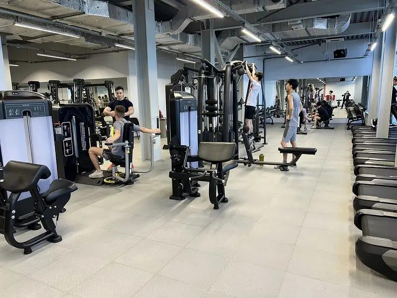 Трицепс-машина Insight Fitness TF06 фото 3