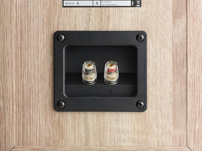 Напольная акустическая система DALI OBERON 7. Цвет: Белый [WHITE] фото 7