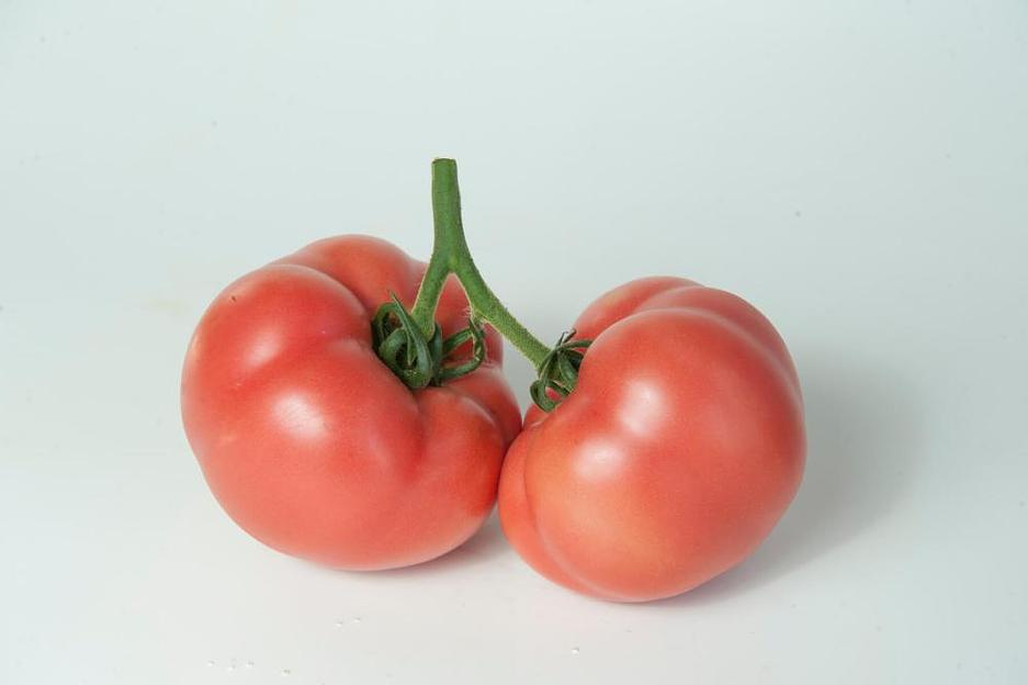 Семена томатов F1 «Шидс» опт фото 1