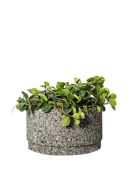 Цветочный вазон СтаркБет «Жасмин гладкая» 30 л ОПТ фото 4