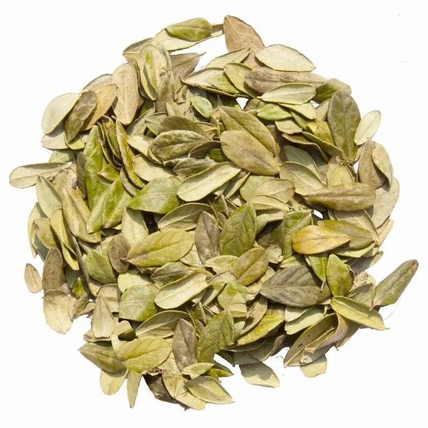 Листья брусники фото 2