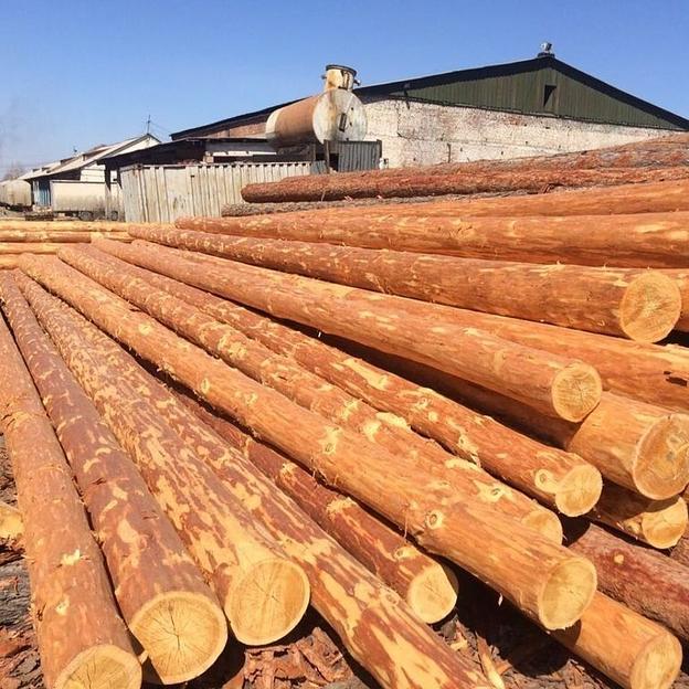 Столб лиственничный опора ЛЭП 13 м фото 1