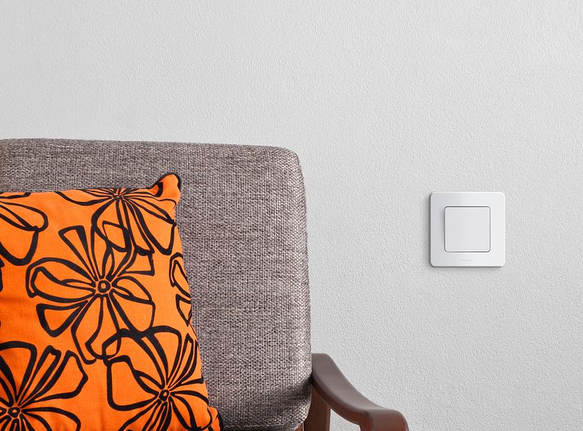 Legrand 673930 Рамка - 1 пост - INSPIRIA - белый фото 7