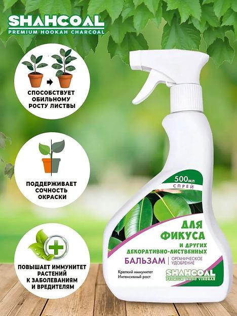 Бальзам-спрей для комнатных декоративно-лиственных растений 500 мл ОПТ  фото 2