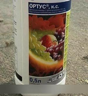 Инсектицид Ортус СК Фенпироксимат 50 г/л канистра 1 л опт фото 1