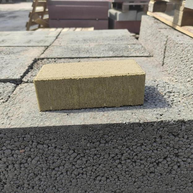 Тротуарная плитка «Кирпичик» 200х100х40 Цветной фото 3