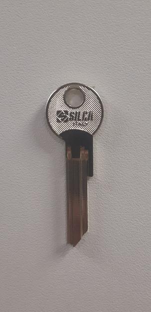 Заготовка ключа FB-20X фото 1