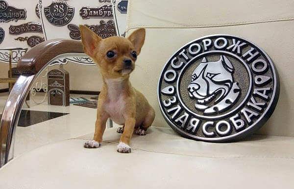 Информационные и почтовые таблички из металла ОПТ фото 2