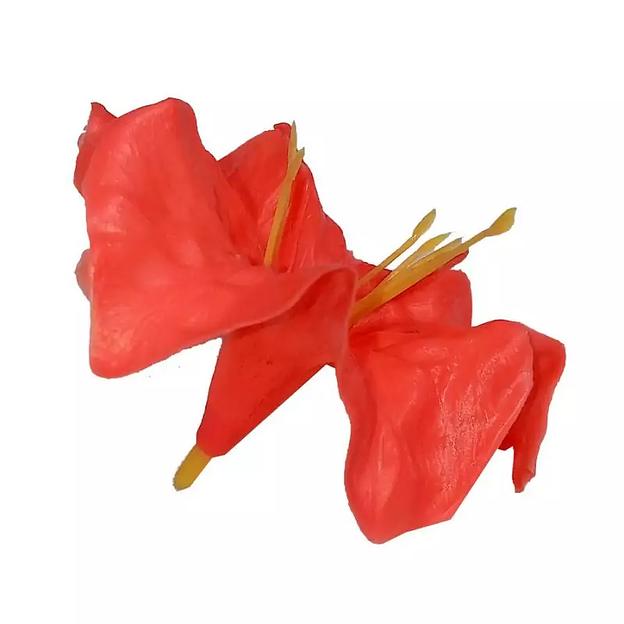 Головка лилии волнистой 9см фото 1