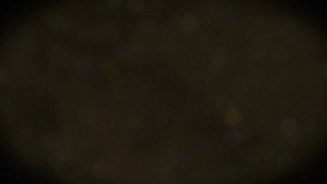 Фаршемешалка вакуумная ДВАК М-200В фото 9