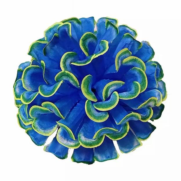 Головка шафрана Богатырь 4сл 20см 429-201-189-107 1/14 фото 2