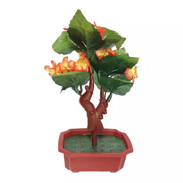 Цветы в горшке 5 фиалок с тройными листьями фото 4