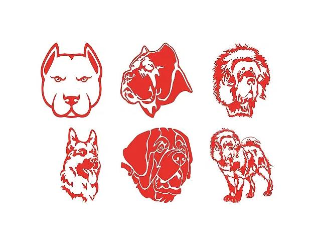 Информационная табличка «Злая собака» И-013 опт фото 9