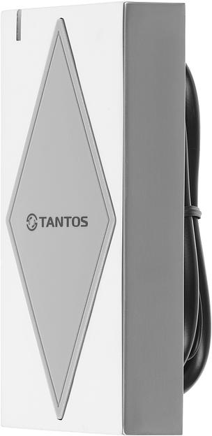 Считыватель карт Tantos TS-RDR-EHMF (00-00037428) уличный антивандальный фото 1