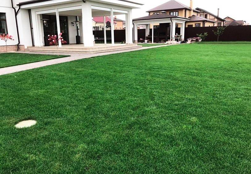 Устройство газонов Ленинградская область фото 1