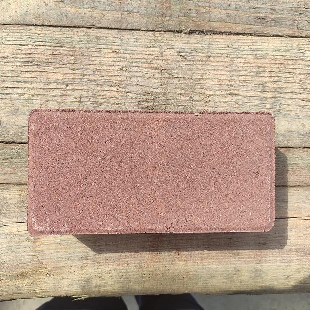 Тротуарная плитка «Кирпичик» 200х100х80 Цветной фото 6