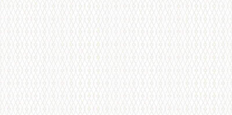 Плитка AltaCera Eleganza White WT9ELZ00  249x500 фото 1