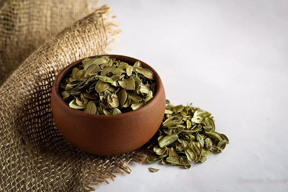 Листья брусники фото 1