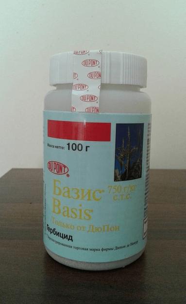 Базис, СТС фото 1