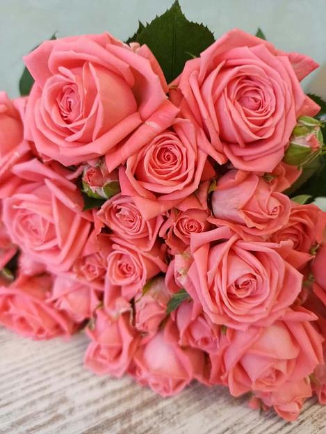 Розы сорта Барбадос ОПТ фото 3