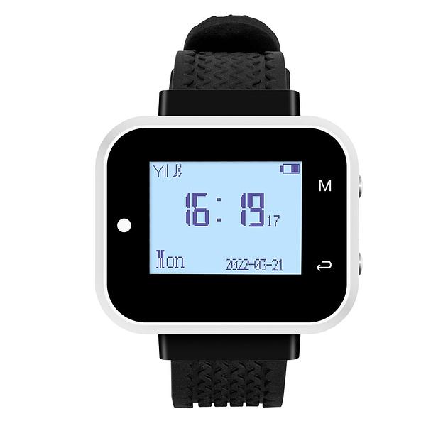 Система вызова из часов и 5 кнопок SWB33-1 фото 5