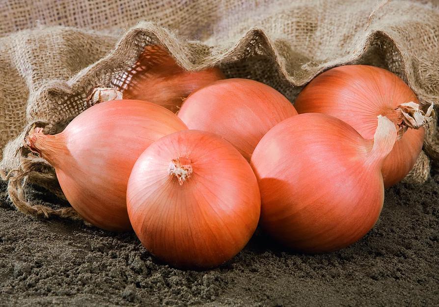 Семена лука Роухайд F1 Bejo Zaden 250 000 семян ОПТ фото 1