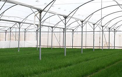 Пленка первичная полиэтиленовая Baerpack© «Высший сорт ТУ» , опт фото 2