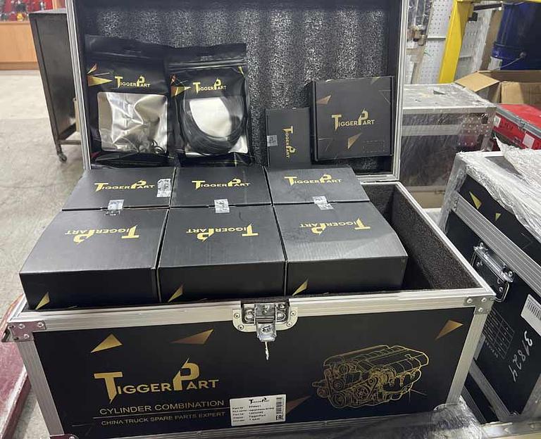 Поршневая группа DEUTZ WP6G125E22 13032095 TiggerPart фото 1