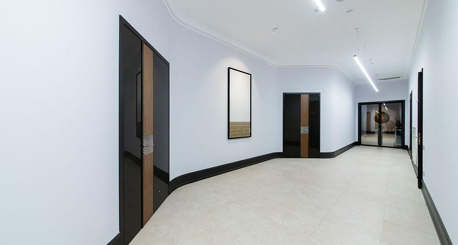 Двери NAYADA шпонированные Regina под заказ фото 2