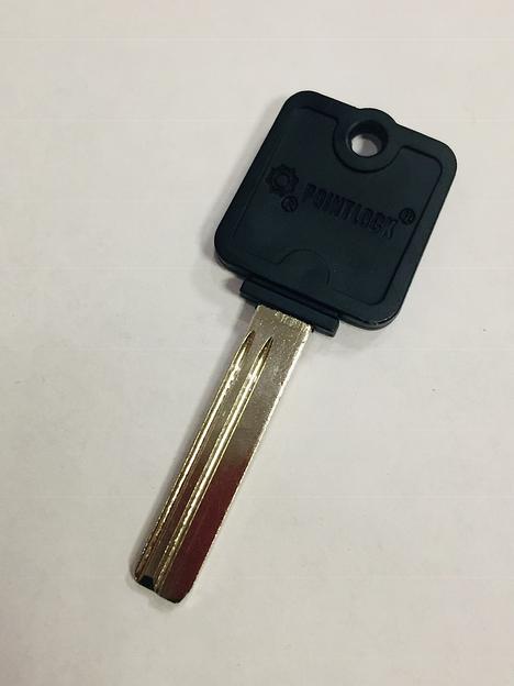 Заготовка ключа PointLock Alpha BK-1 фото 1