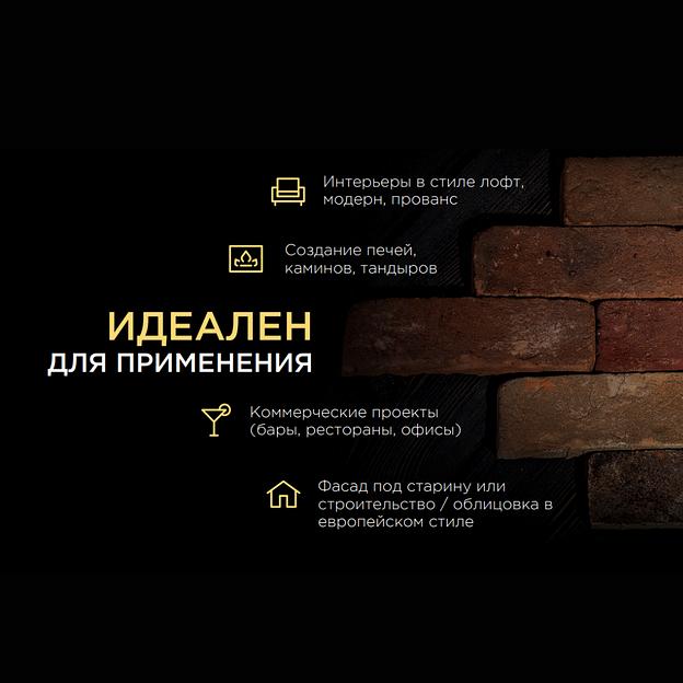 Кирпич «Melange» Rigel 300×100×50 ОПТ фото 3