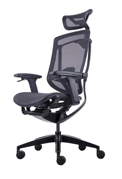 Премиум эргономичное кресло GT Chair Marrit X, черный фото 1