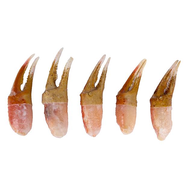 Краб стригун Опилио, мясо клешни на двух когтях, варёно-мороженое, 200 гр (цв. короб) ОПТ фото 2