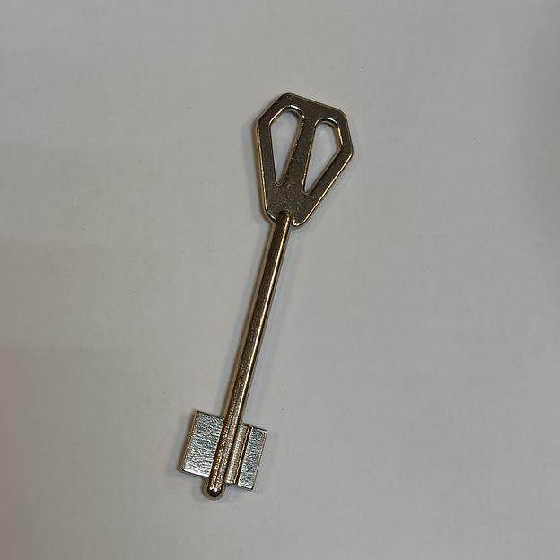 Заготовка ключа М-ЛОК-1 фото 1