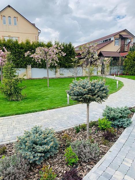 Газон GreenJusan рулонный фото 6