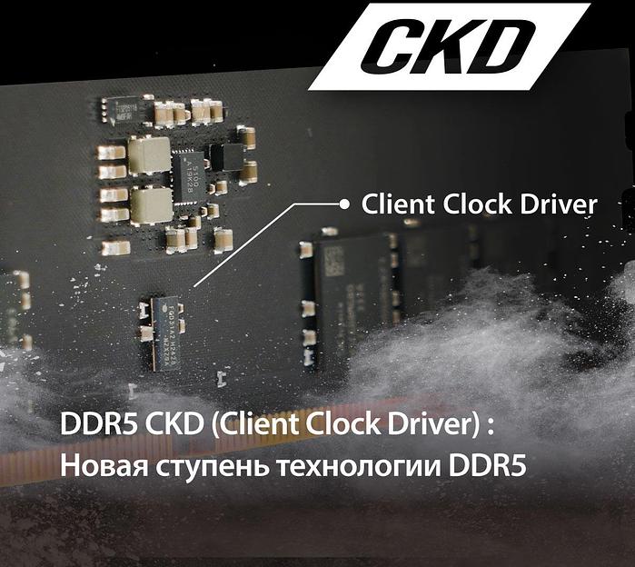 Оперативная память PATRIOT DDR 5 CUDIMM 32Gb 6400Mhz, Signature Line (PSD532G6402C) (retail) фото 5